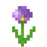 allium
