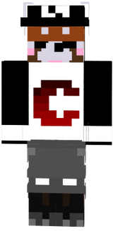Lesserkun