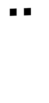 esqueleton