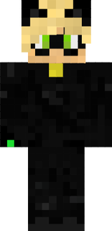 cat noir