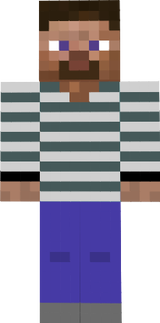 sweater steve