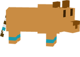 ZimZim