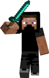 ninja go