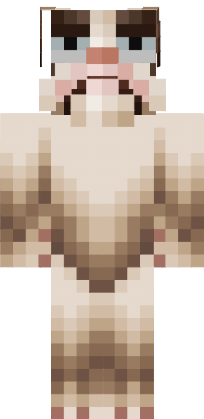 Preview of texture: grumpy cat