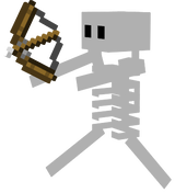 Skeleton