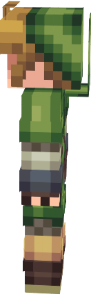 Preview of texture: link