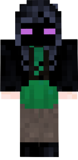 repisann skin