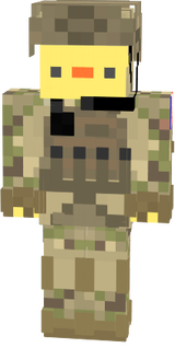 piouy army