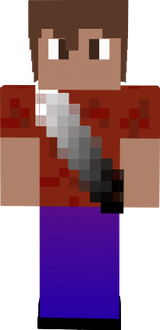the final shape