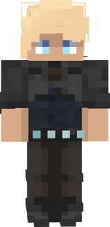 sdgvvs