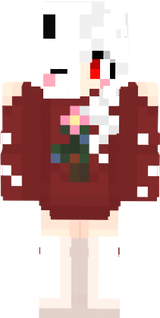 nova skin