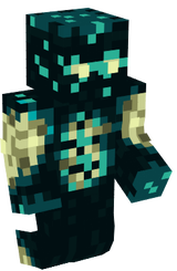 Warp