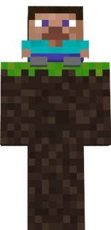 micro steve