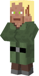 Elf of EnderWoods