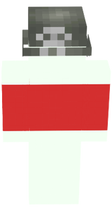 Finished Belarus 2