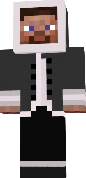 Preview of texture: Snow Steve Fix