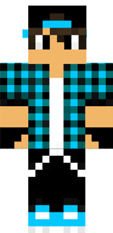 rinipvp