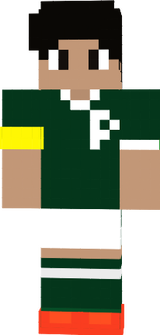 Phellypie10 PALMEIRAS