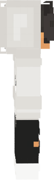 skinek