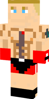  Brock Lesnar muay thai
