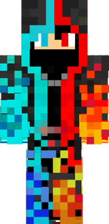gizlininja
