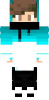 skin 1