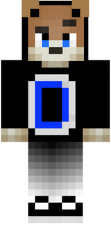 skin minecraft
