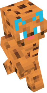 MISOUPY