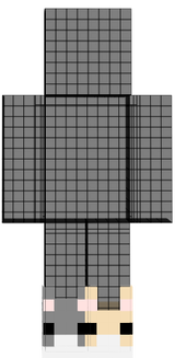 皮皮們