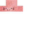 Pig head