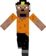 thedynamicminer