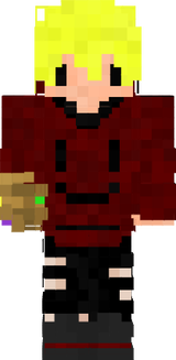 usa minha skin