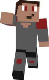 joost_cricket