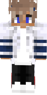 Sander