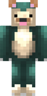 aaaa