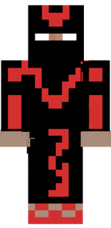 ninja skin