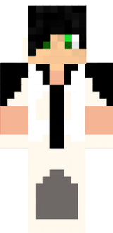 Skinsek