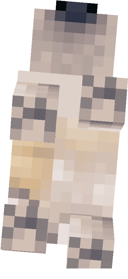 Preview of texture: pug