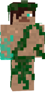 druid 8