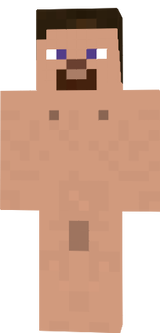 新手