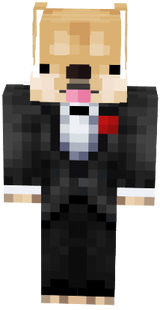 doge in suit