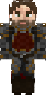 ARMOR VOIN