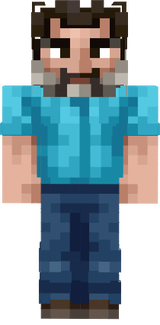 I AM STEVE