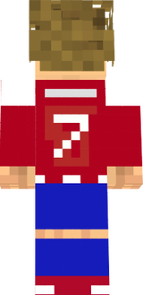 grizi