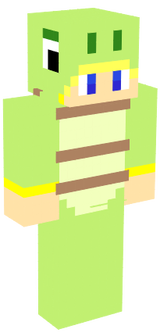 skin de turtleizer