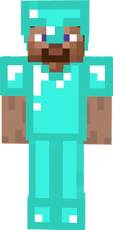 Pro Steve
