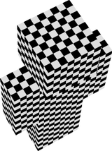 skin 2