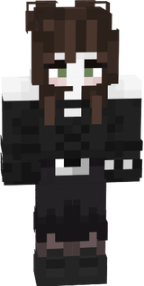 Updated skin