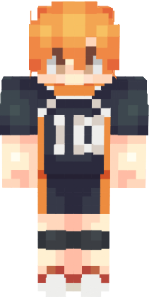 Preview of texture: shoyo