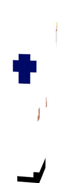 fnsn_2